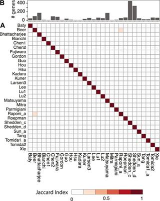 Identification of Master Regulators Driving Disease Progression, Relapse, and Drug Resistance in Lung Adenocarcinoma